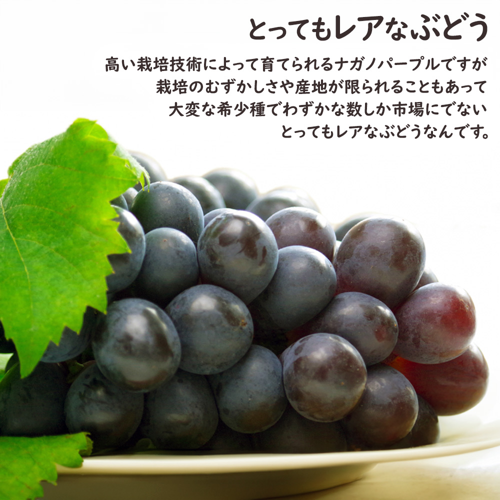 ナガノパープル