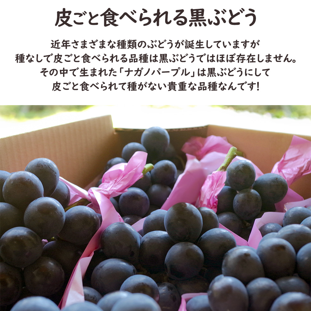 ナガノパープル