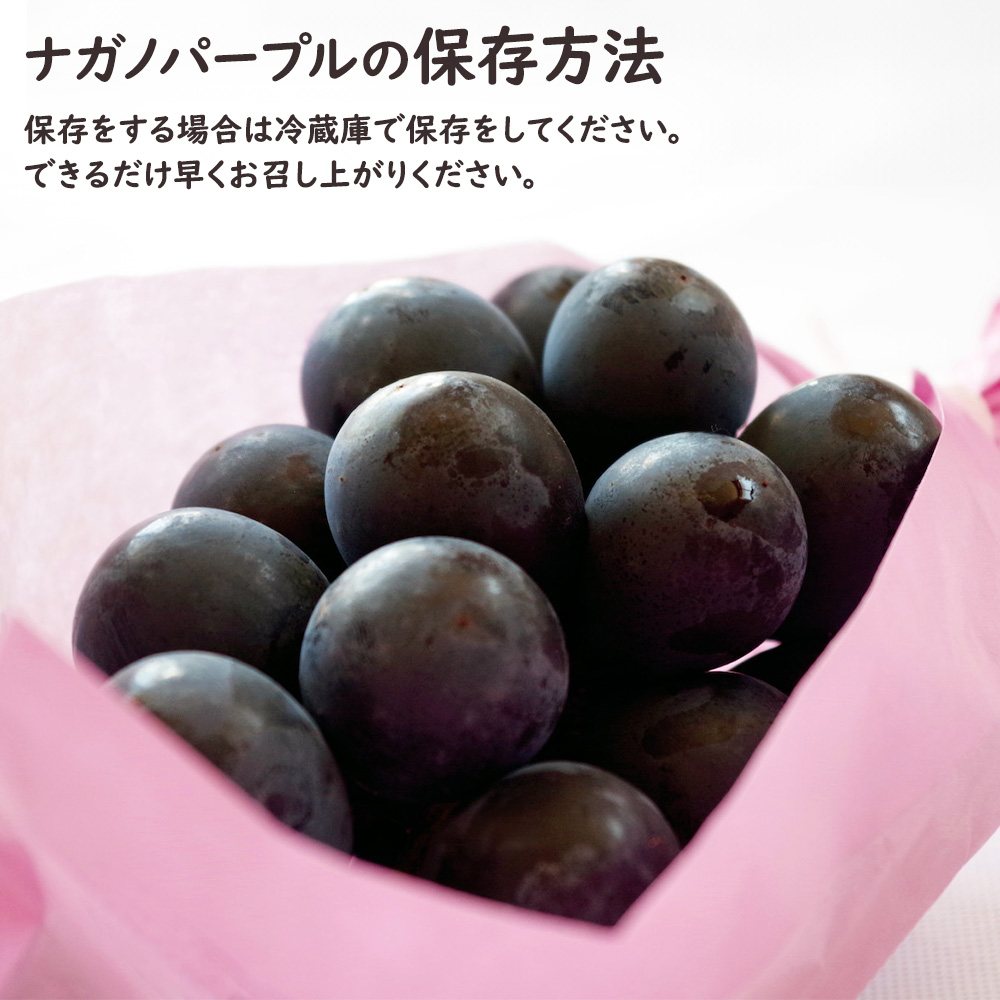 ナガノパープル