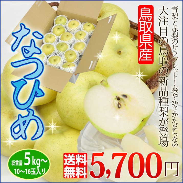 なつひめ 5kg 送料無料 鳥取県 新品種 青梨でありながら豊かな甘み Natsuhime5kg ほんまもん屋 Hanaファクトリー 通販 Yahoo ショッピング