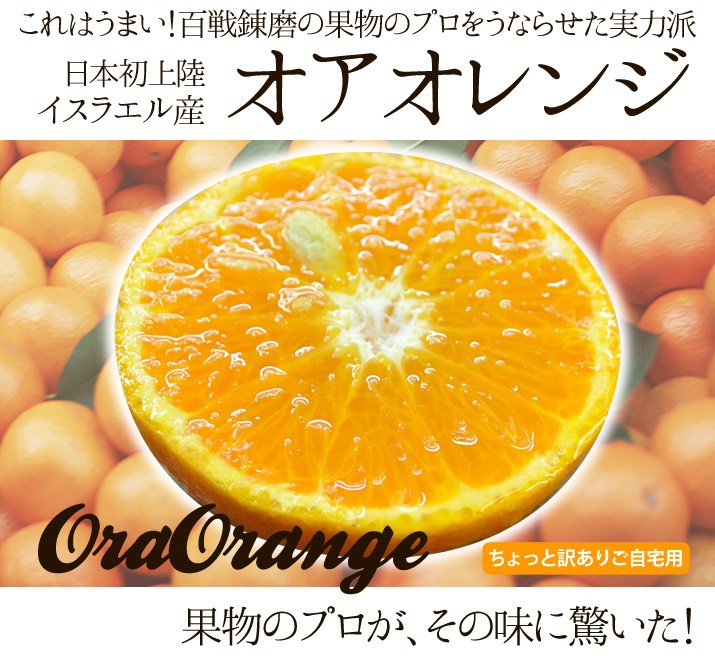 送料無料 みかん感覚で食べられるオアオレンジ 5kg オラオレンジ イスラエル産 Oraorange5 ほんまもん屋 Hanaファクトリー 通販 Yahoo ショッピング