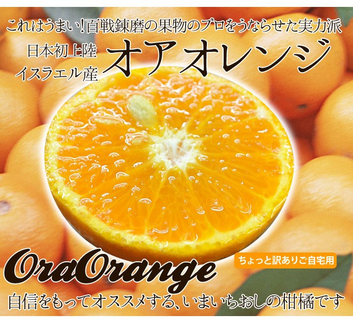 送料無料 みかん感覚で食べられるオアオレンジ 5kg オラオレンジ イスラエル産 Oraorange5 ほんまもん屋 Hanaファクトリー 通販 Yahoo ショッピング