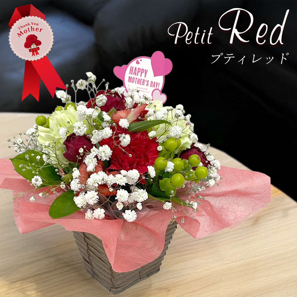 遅れてごめんね 母の日 花 ギフト カーネーション アレンジメント 生花