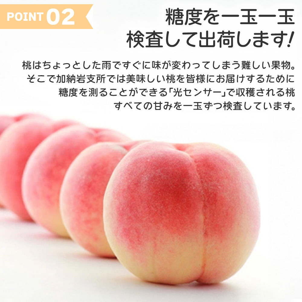 お中元 桃 フルーツ ギフト 送料無料 山梨県産 ぴ〜一番 信玄 4.5kg 16