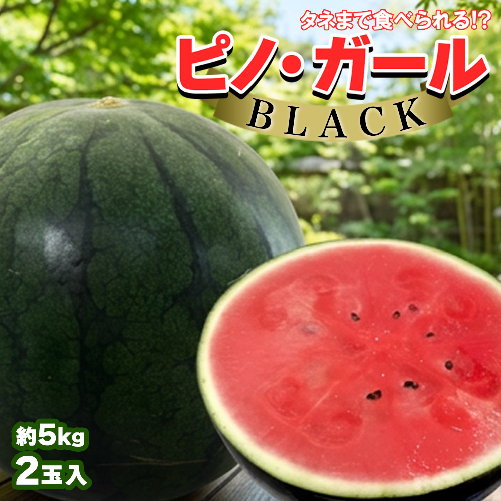 山形県産 他 小玉すいか ピノガール ブラック 2玉 計5kg程度 スイカ