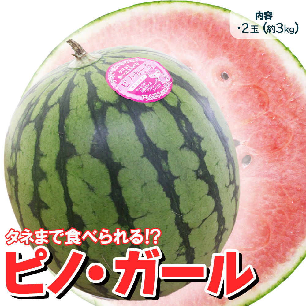 山形県産 他 小玉すいか ピノガール 1玉 1.5kg以上 2玉入り マイクロ