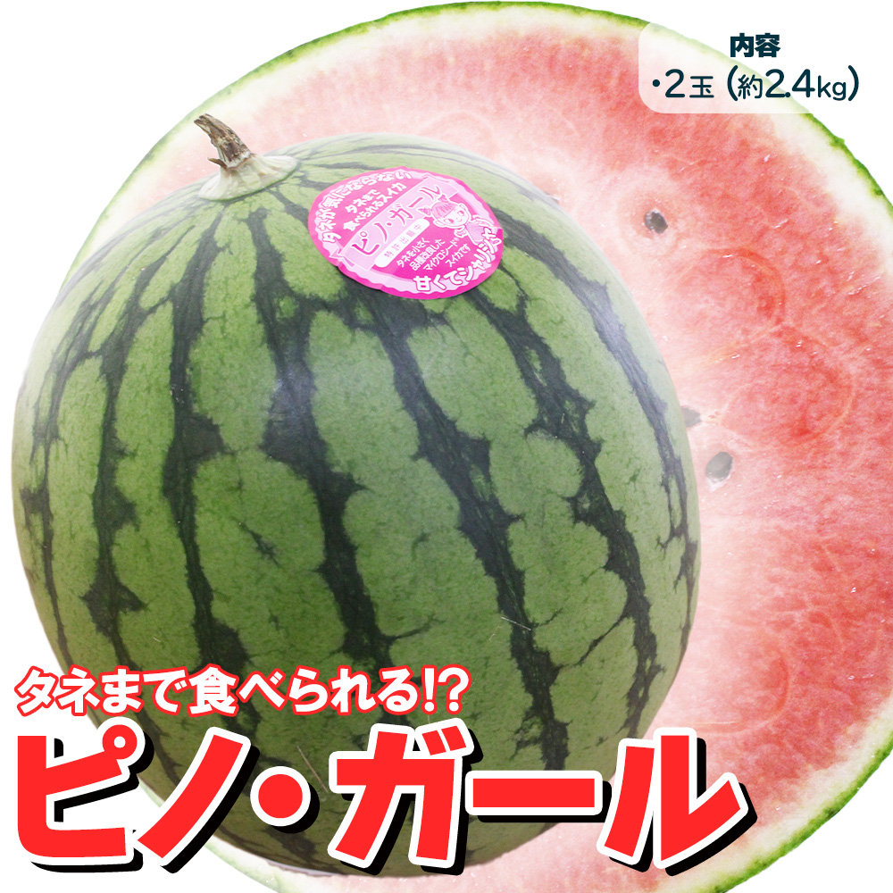 ピノ・ガール