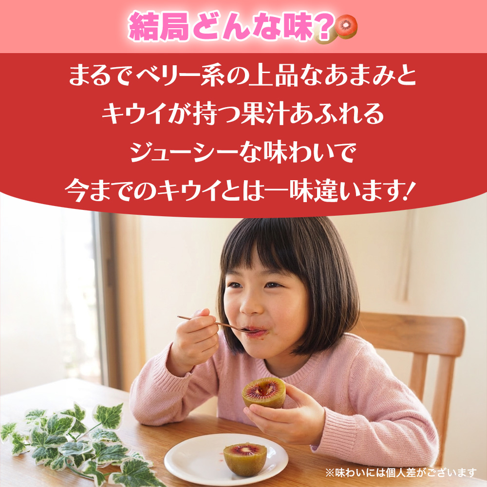 赤い宝石!? レッドキウイ ルビーレッド 約2.5kg ニュージーランド産 Zespri ゼスプリ グリーンキウイ や ゴールドキウイ とは違う自宅用 ご家庭用 【BO】 |  | 03