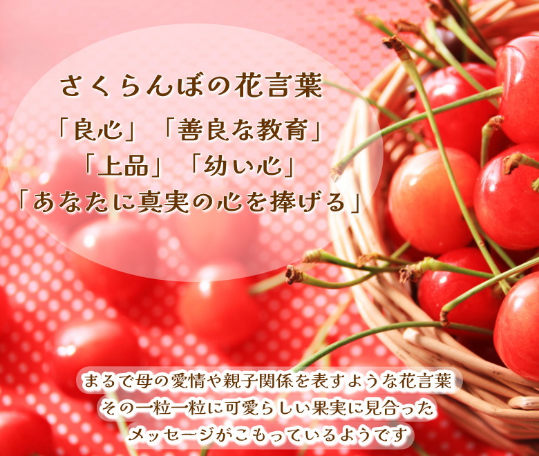 さくらんぼ