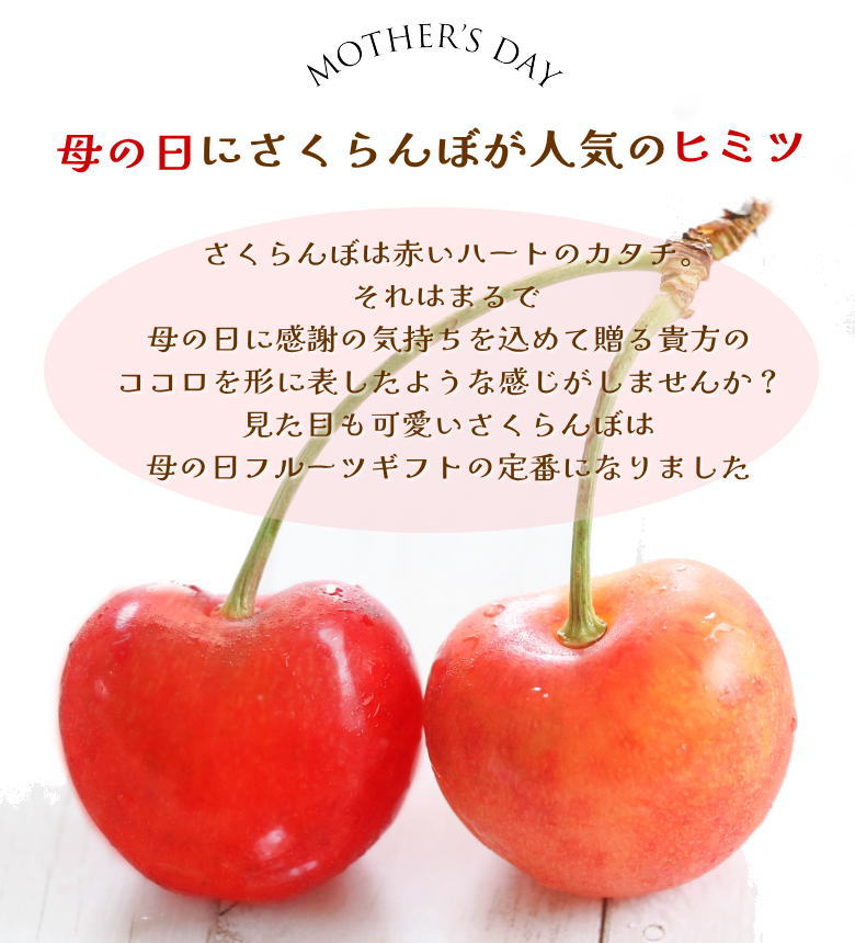さくらんぼ