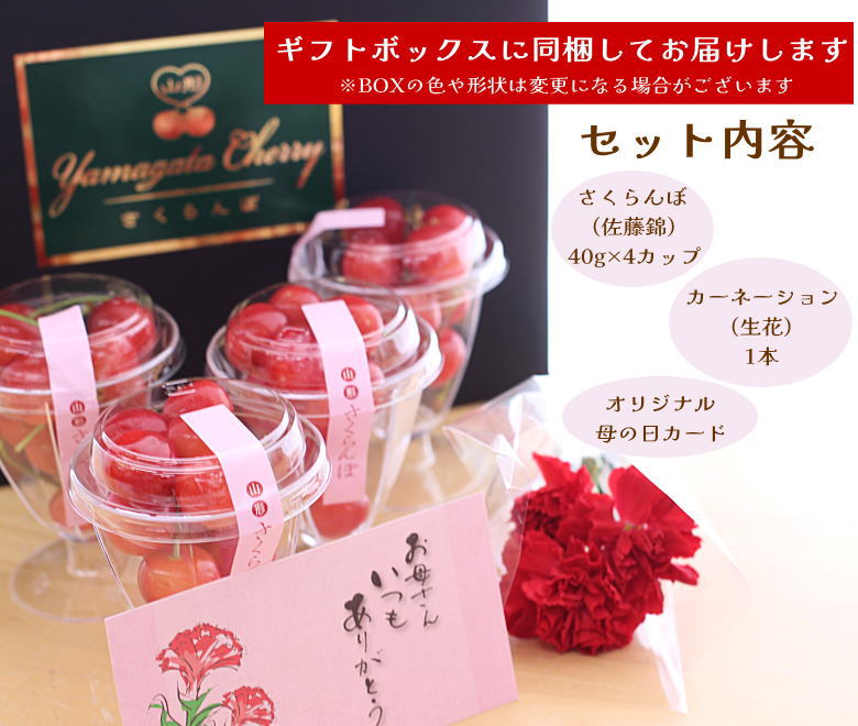 佐藤錦 母の日 産地直送 山形 産直 カーネーション