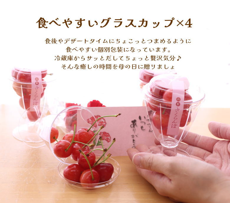 佐藤錦 母の日 産地直送 山形 産直 カーネーション