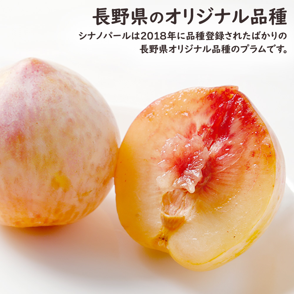 シナノパール