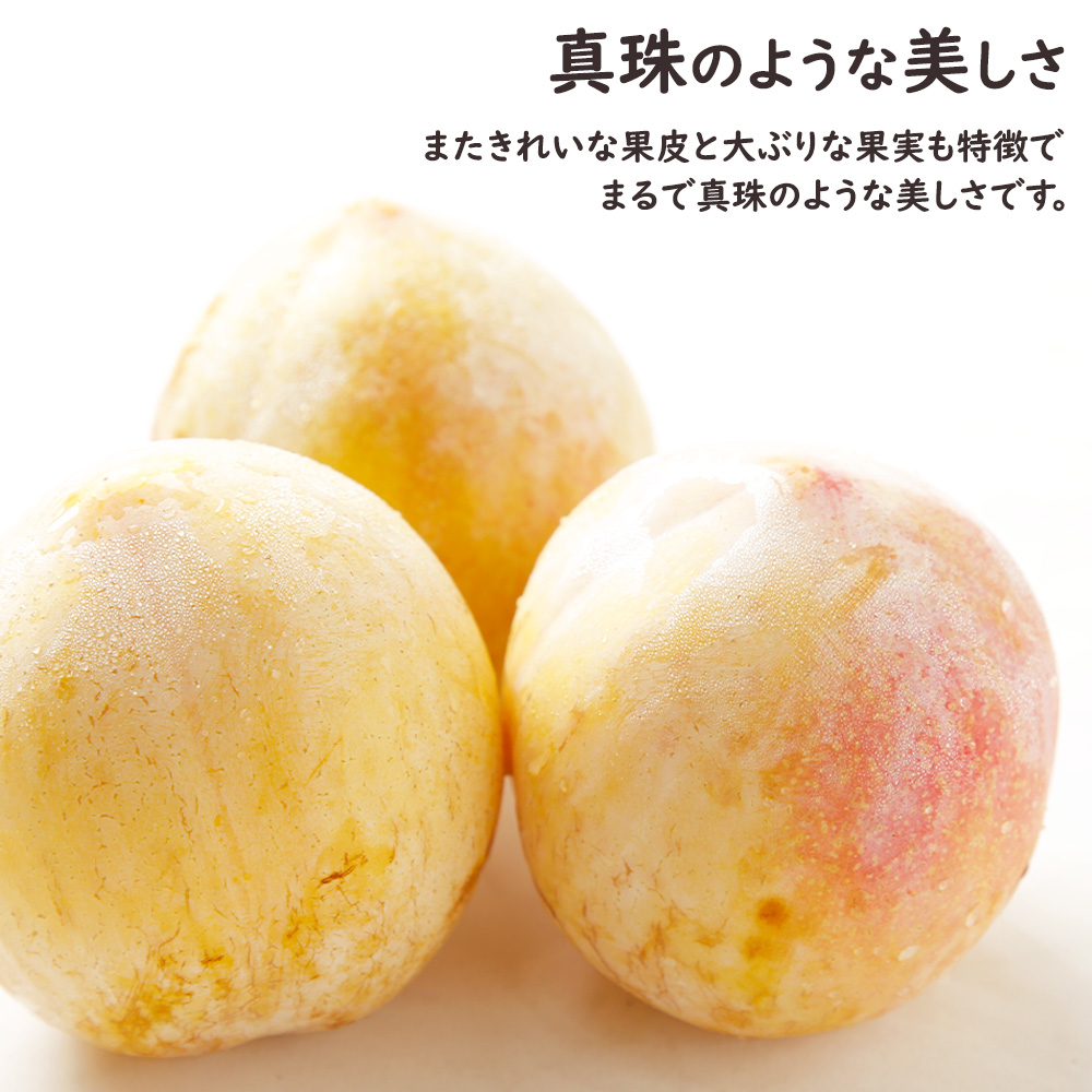シナノパール