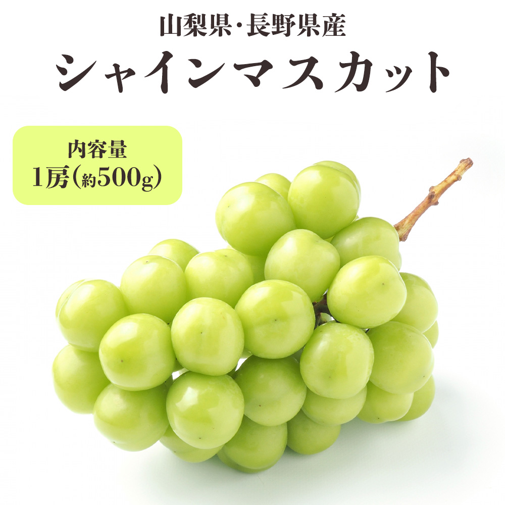 MN シャイン500g