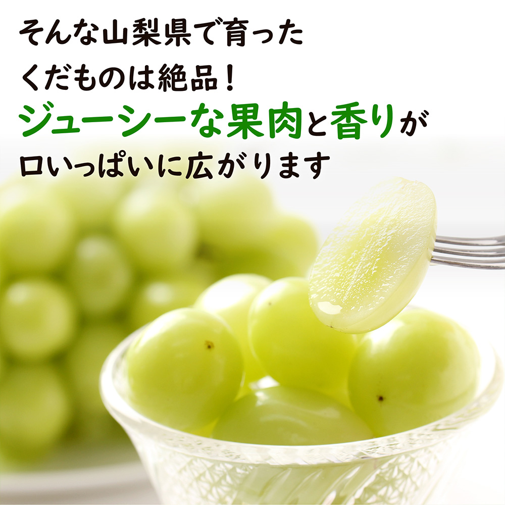 シャインもも