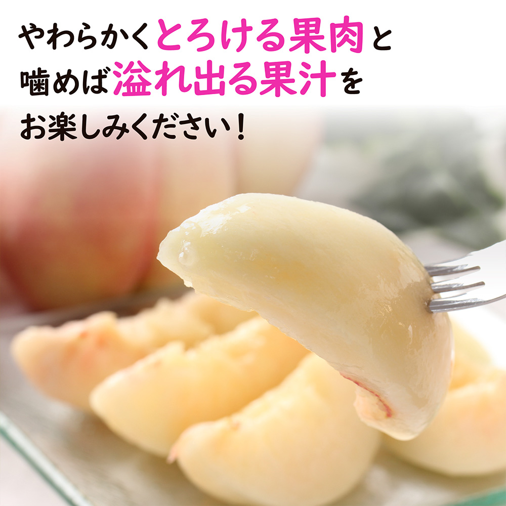 シャインもも