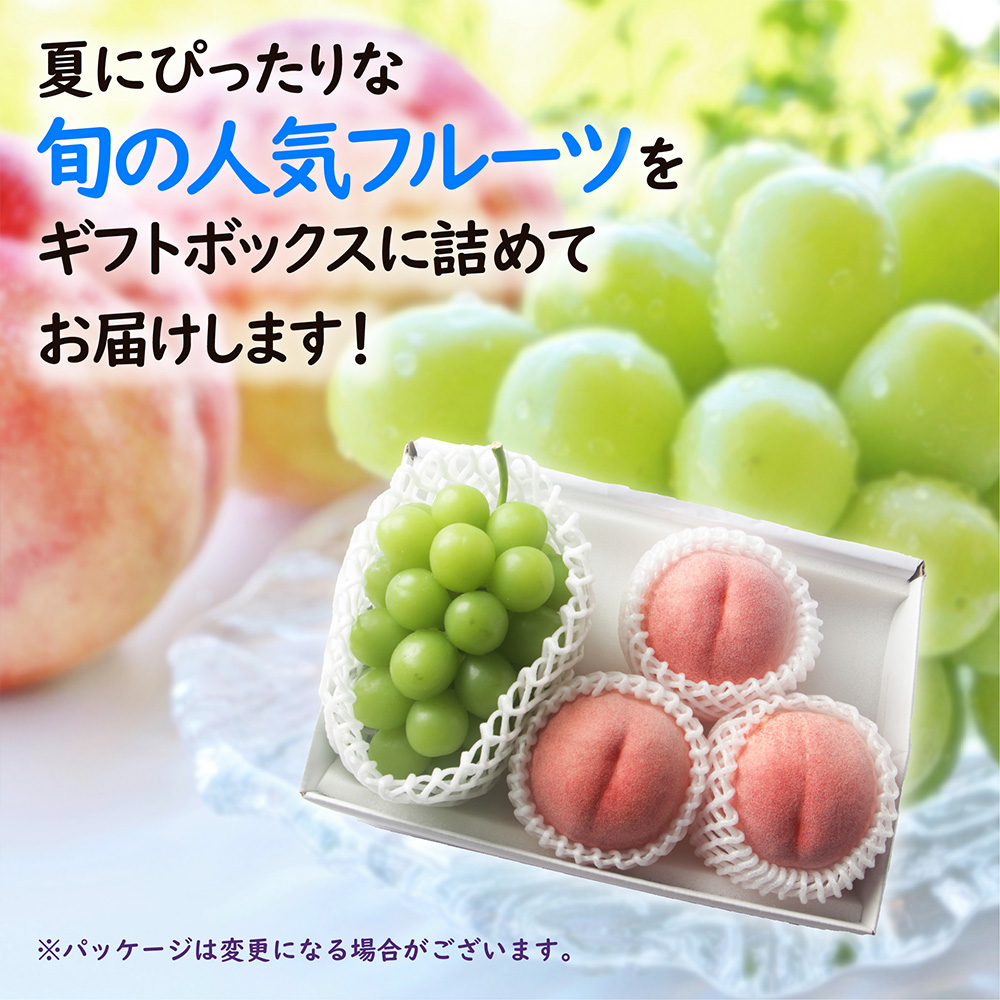 シャインもも
