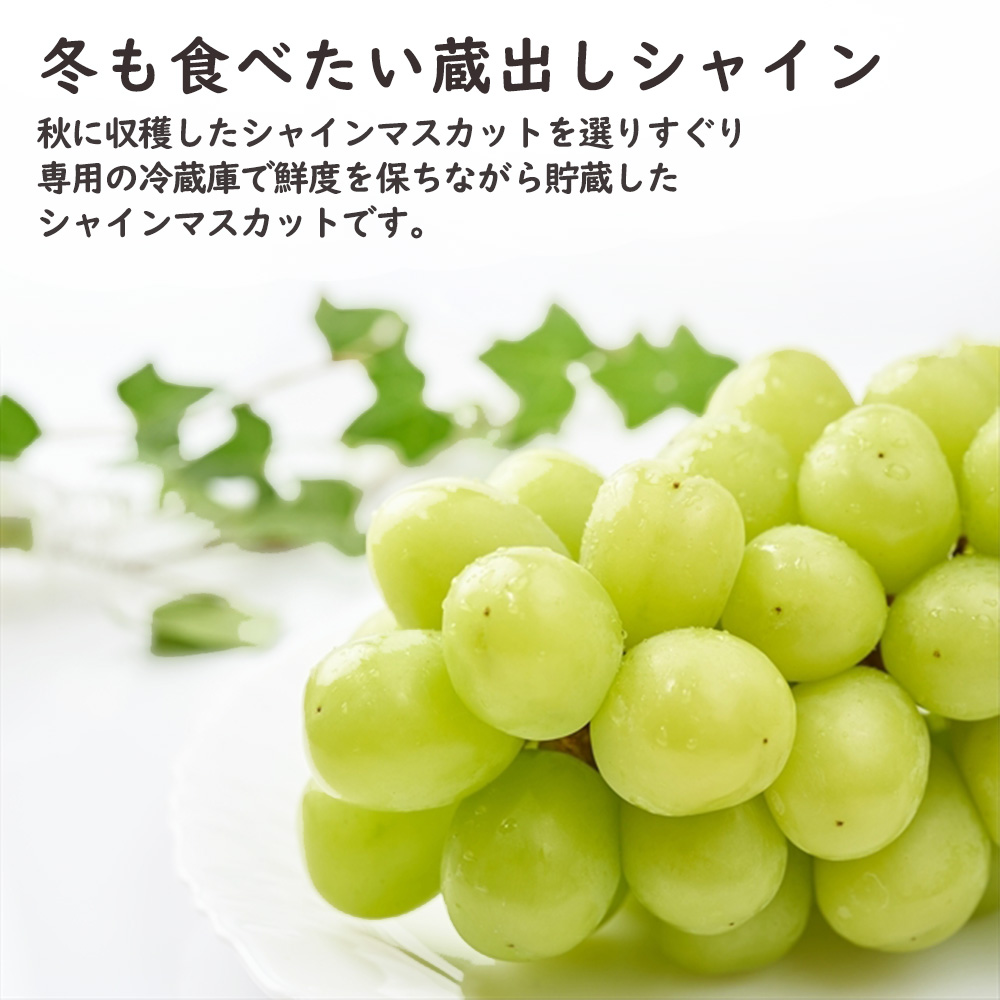 シャインマスカット マスカット ぶどう 約5kg 9~11房 長野 果物 果実