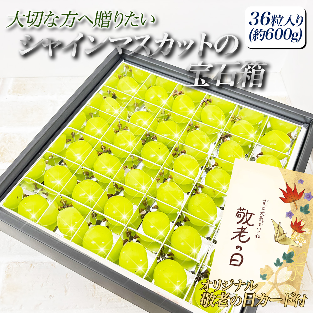 hV̓J[ht R 쌧Y VC}XJbg̕Δ!! 600g 36 j j Mtg ʕ t[c [VC}XJbg 36 J[ht] yBOz