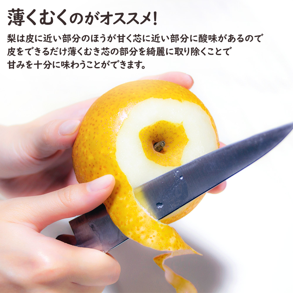 出荷中】ケース 箱売り 新高梨 新高 梨 なし 大玉 和梨 赤梨 フルーツ