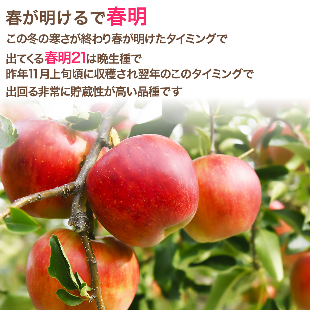 りんごりんご 2種詰め合わせ（ふじ、シナノゴールド） | 産地直送通販 | 青森