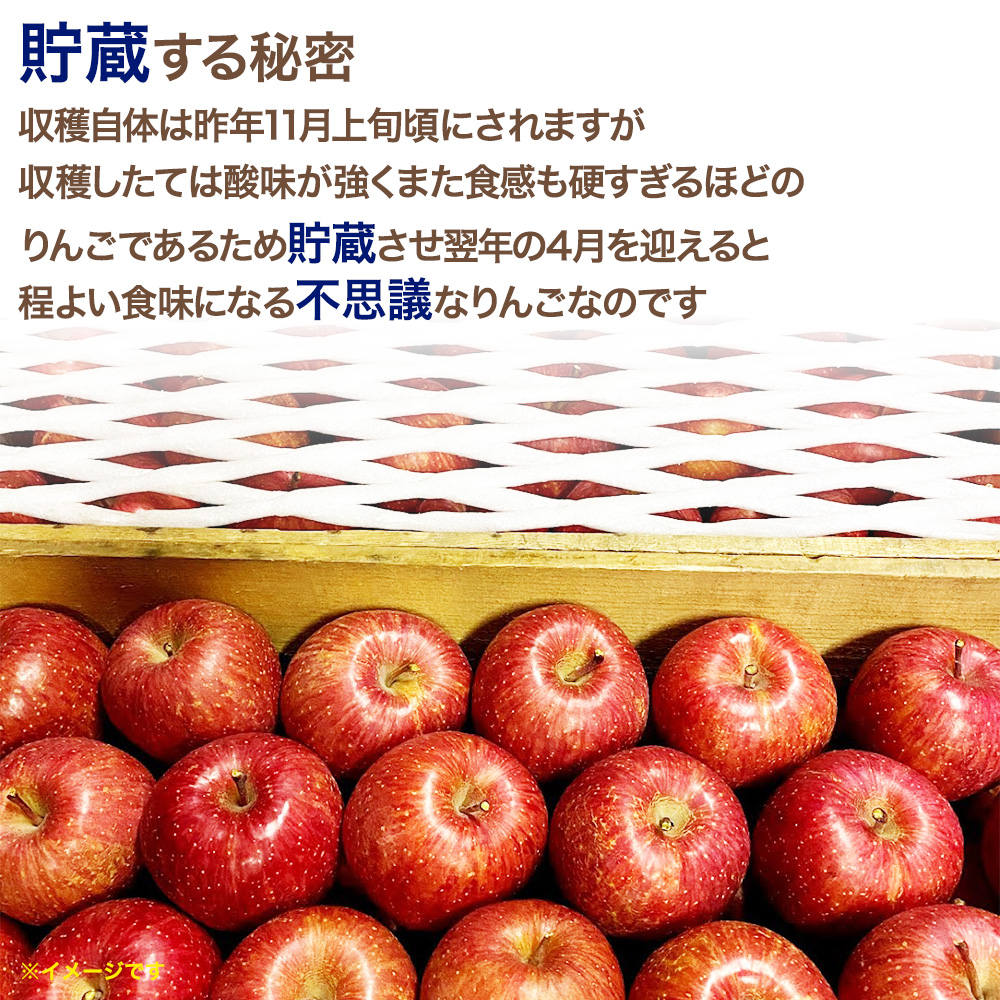 今は春明21!】 青森県産 小玉りんご 春明 21 しゅんめい