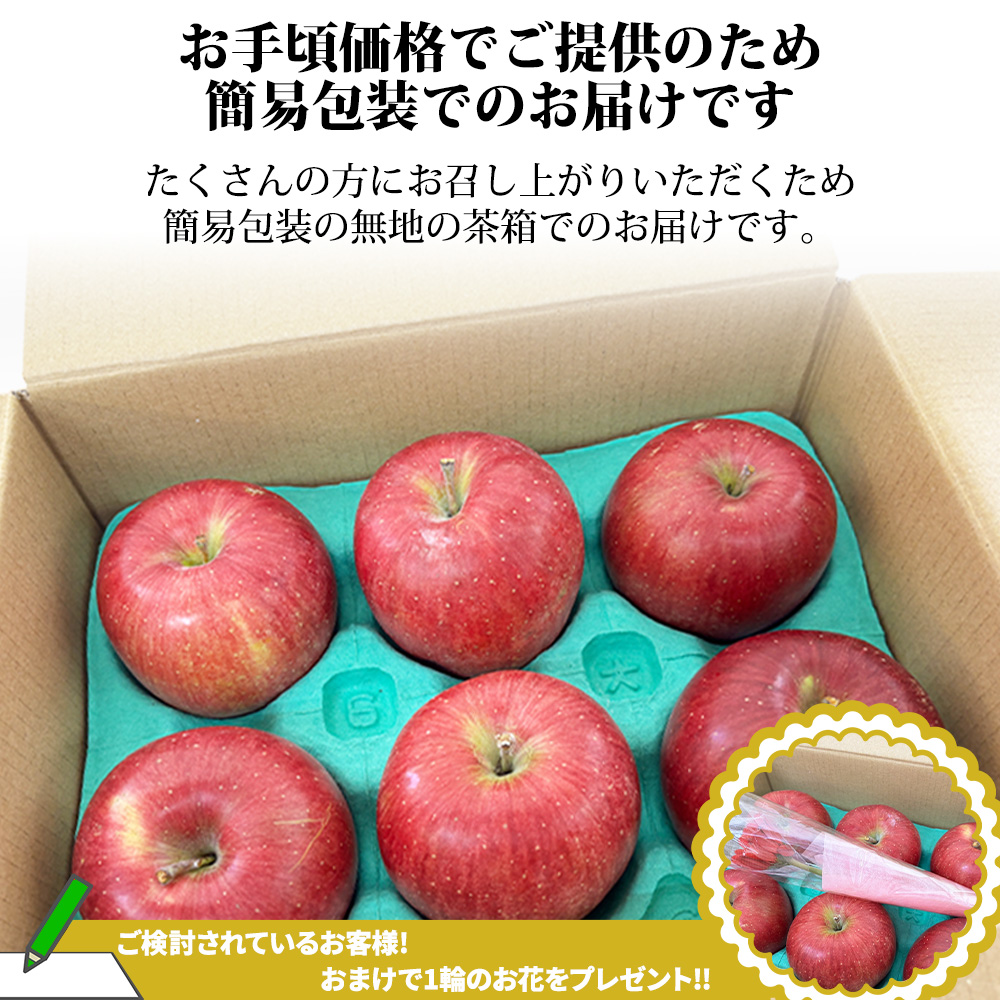 今は春明21!】 青森県産 小玉りんご 春明 21 しゅんめい