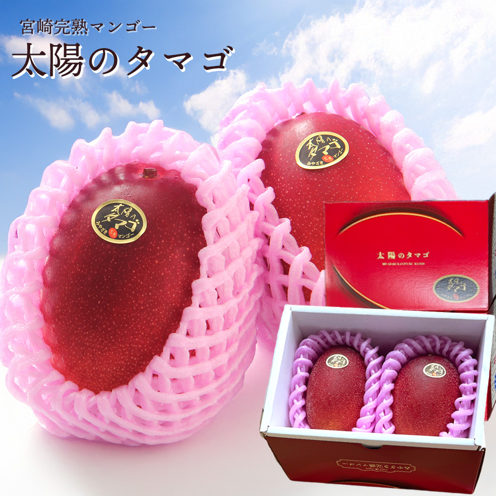 太陽のタマゴ