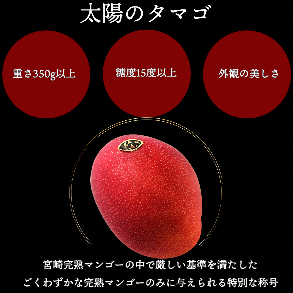 太陽のタマゴ 宮崎 糖度15度 完熟 マンゴー 2玉 化粧箱 贈答 フルーツ