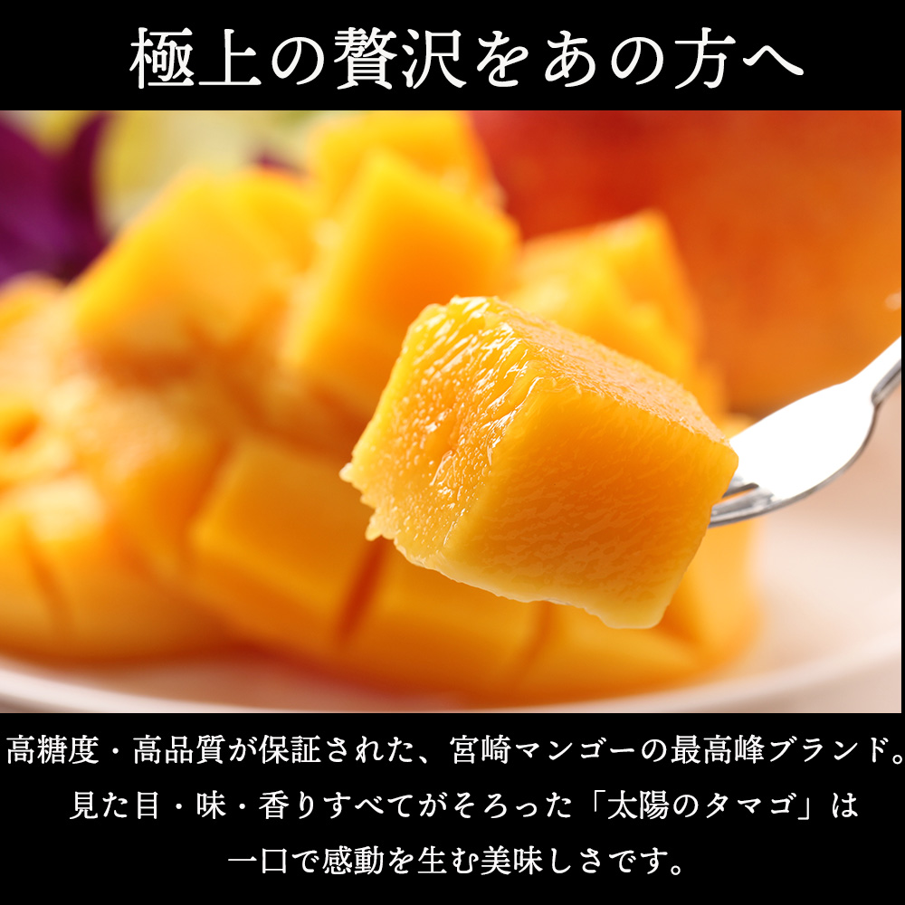 太陽のタマゴ 宮崎 糖度15度 完熟 マンゴー 2玉 化粧箱 贈答 フルーツ