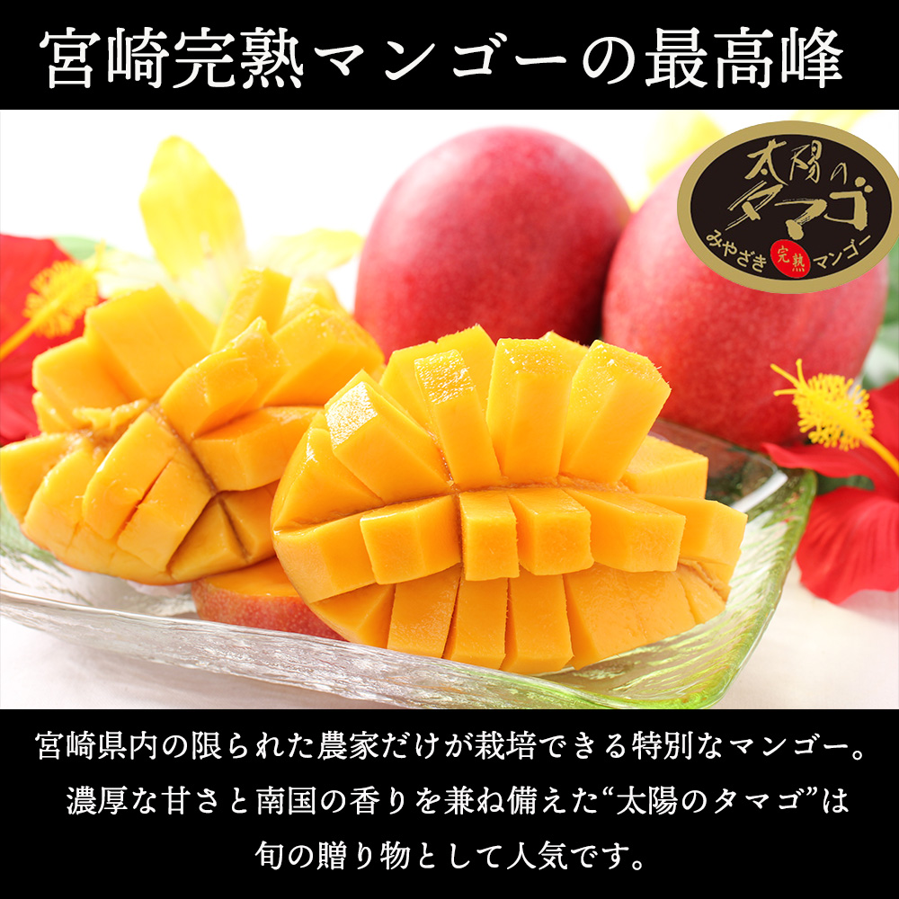 太陽のタマゴ 宮崎 糖度15度 完熟 マンゴー 2玉 化粧箱 贈答 フルーツ