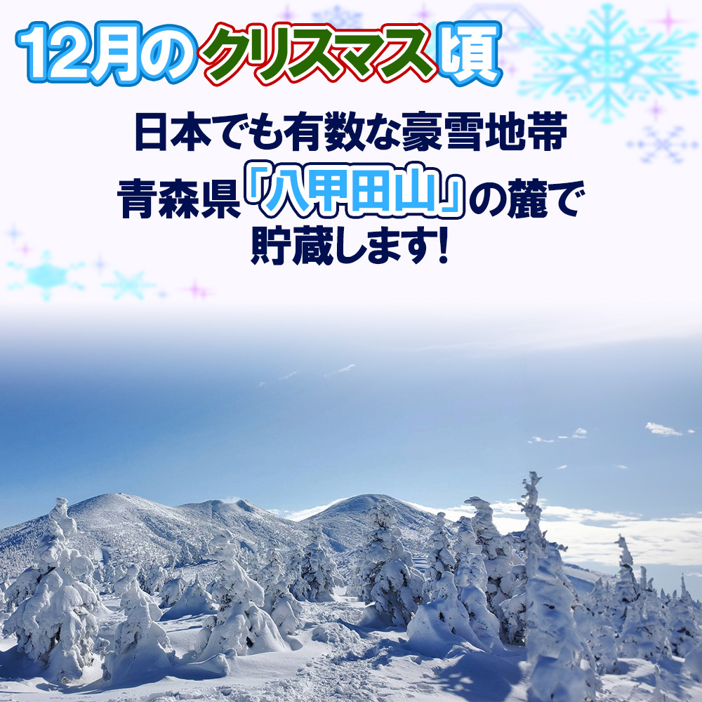 雪貯蔵りんご