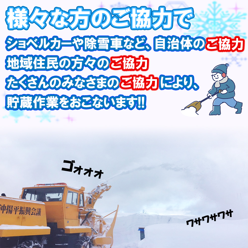 雪貯蔵りんご