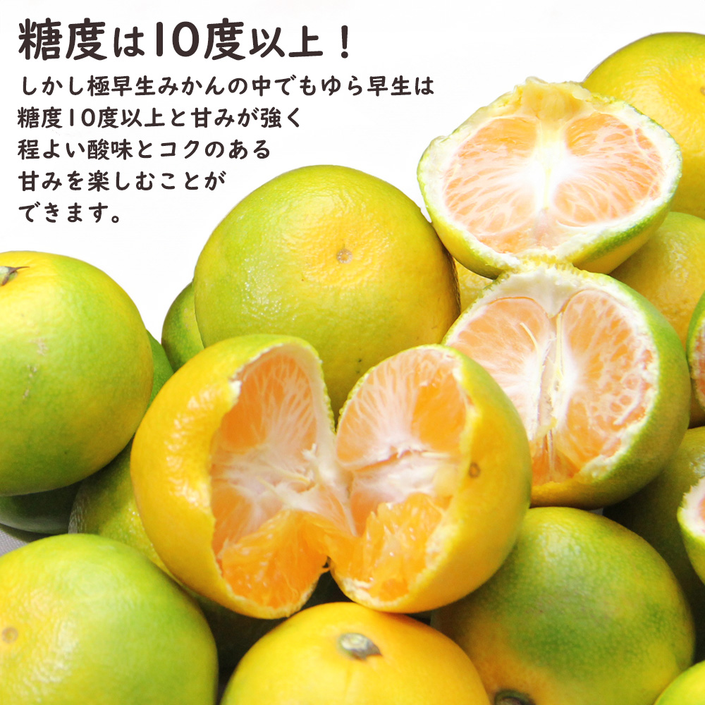 ゆら早生 極早生みかん ゆら 由良 和歌山 みかん ミカン 柑橘 10kg S