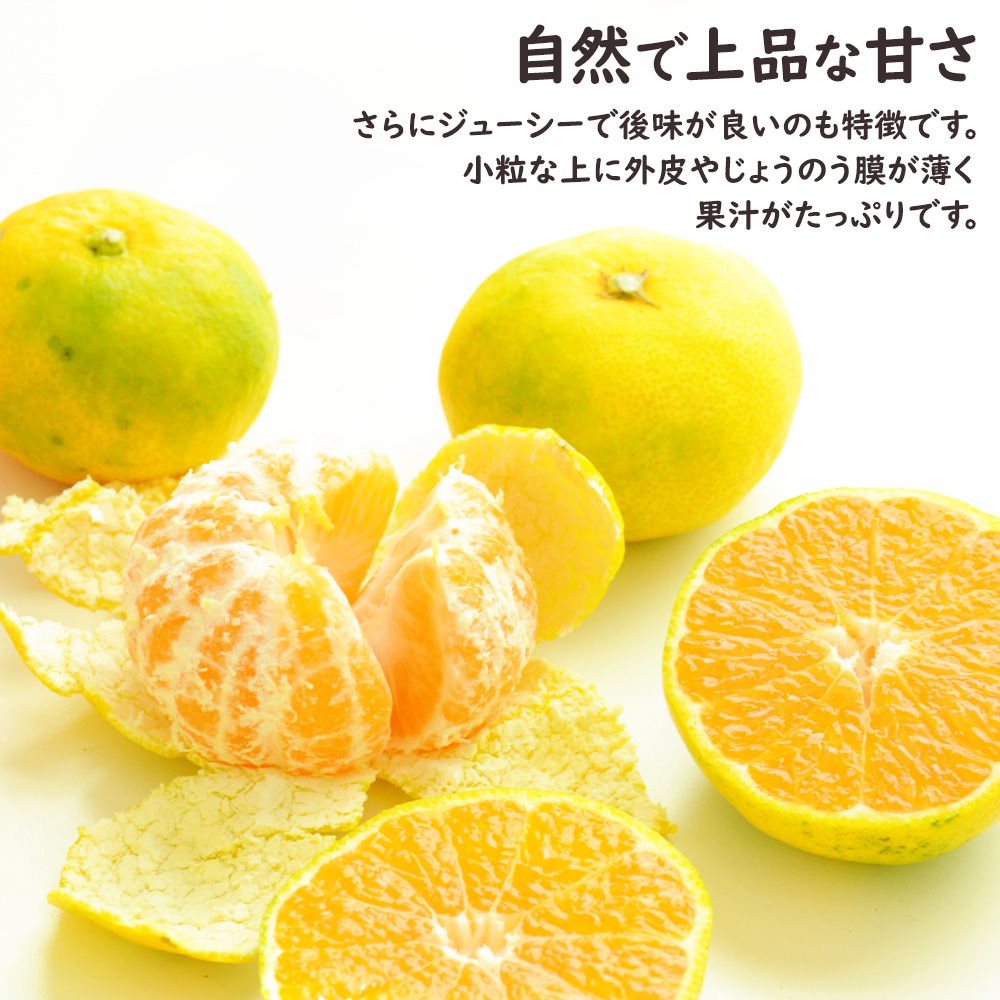 ゆら早生 極早生みかん ゆら 由良 和歌山 みかん ミカン 柑橘 10kg S