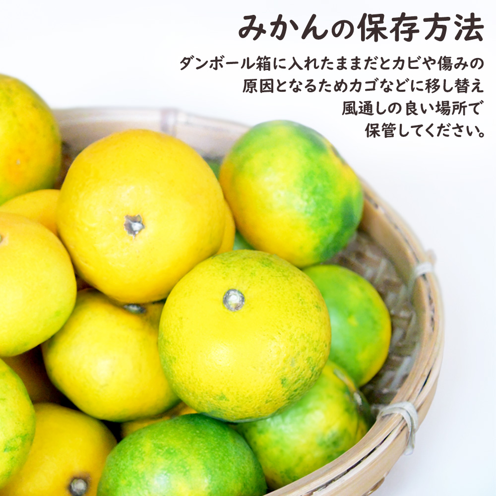 ゆら早生 極早生みかん ゆら 由良 和歌山 みかん ミカン 柑橘 10kg S