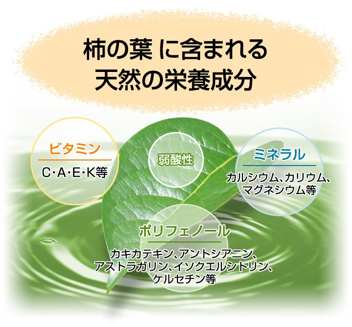 『柿の葉 』に含まれる天然の栄養成分