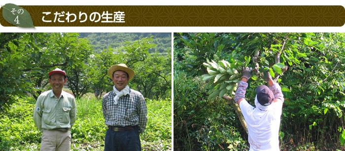 こだわりの生産