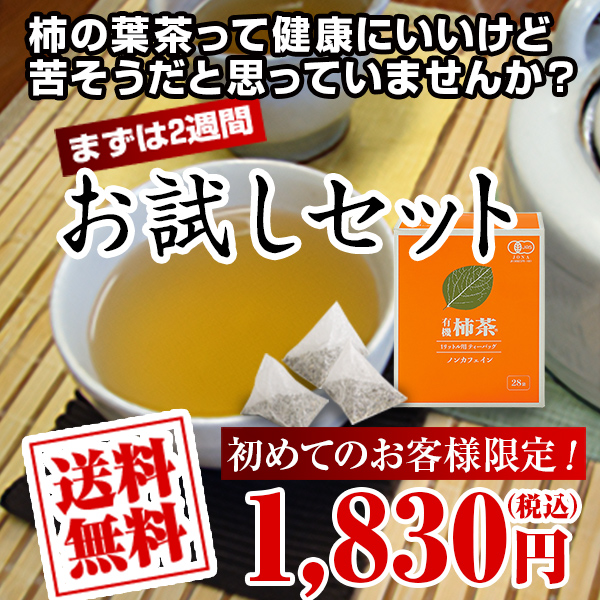 お試しセット