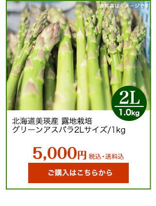 北海道美瑛アスパラ2L