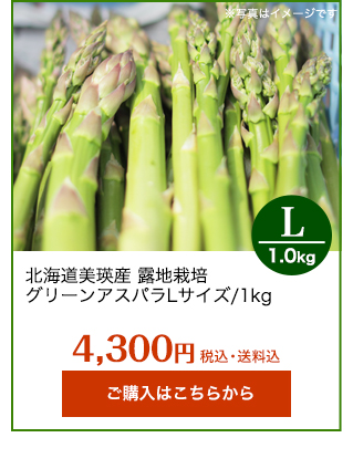 北海道美瑛アスパラL