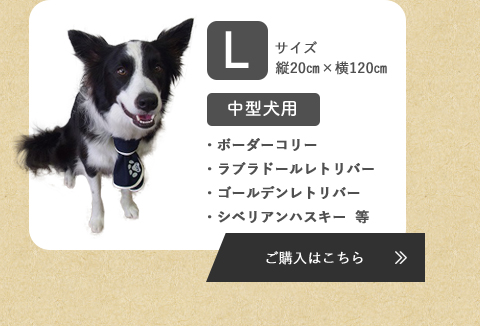 ONYONE A.A.TH for Dogs リカバリー 犬の健康