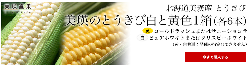 美瑛選果 とうきび