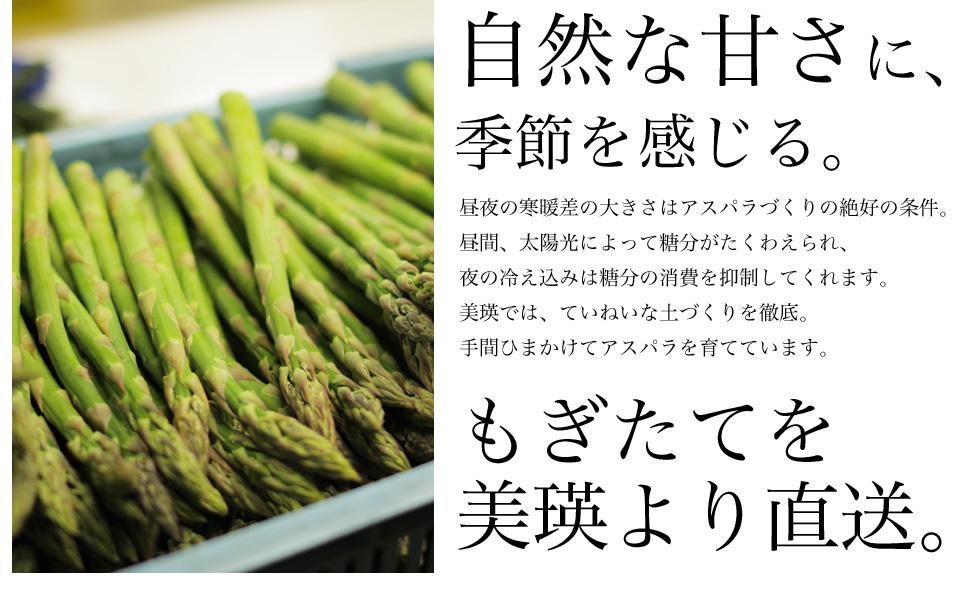 美瑛選果 アスパラ