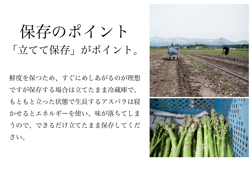 美瑛選果 アスパラ