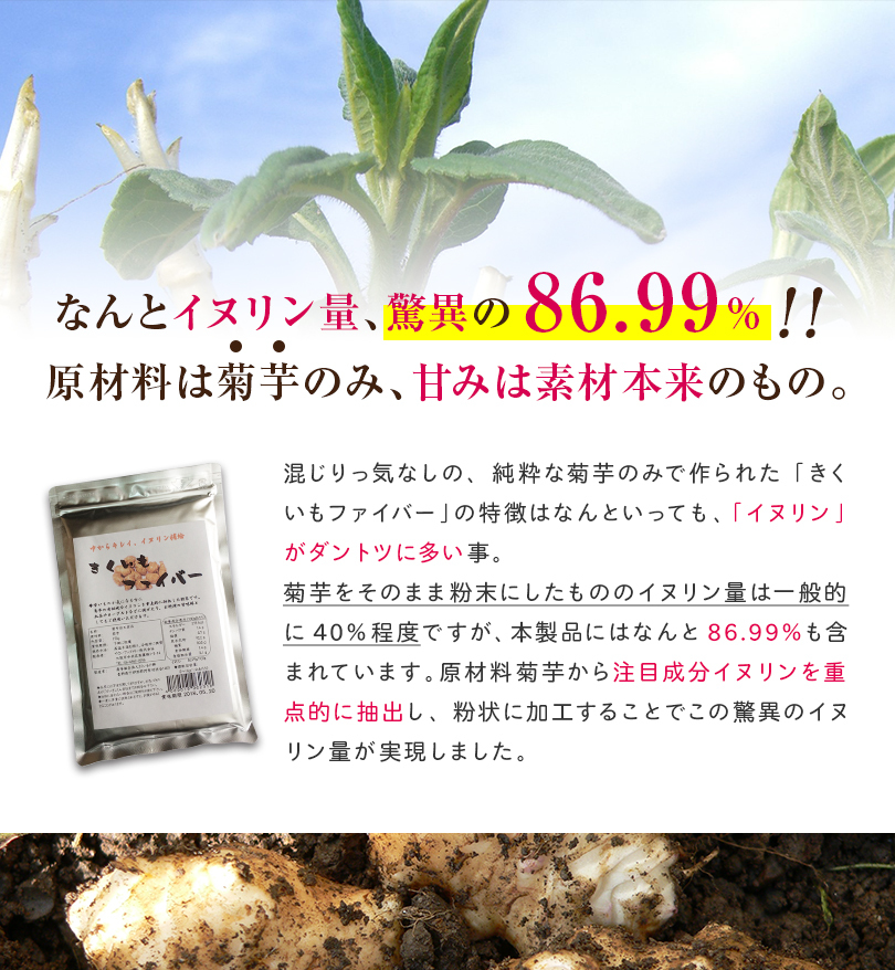 63％以上節約 菊芋 粉  粉末 菊芋の粉 きくいもファイバー  キクイモ きくいも パウダー  お試し セット 各150g  送料無料