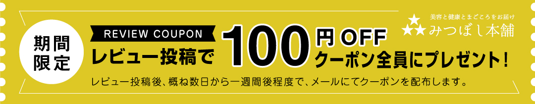 菊芋 粉 キクイモ きくいも パウダー 粉末 菊芋の粉 きくいも