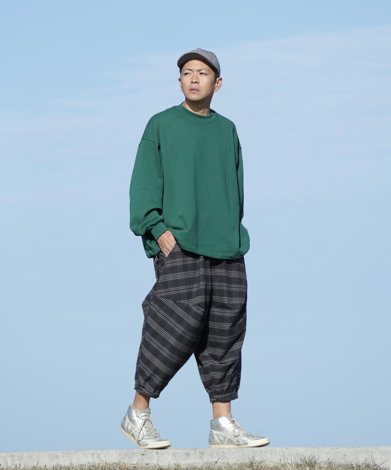 自我の適応　ハインツ・ハルトマン 自我の適応 ハインツ・ハルトマン