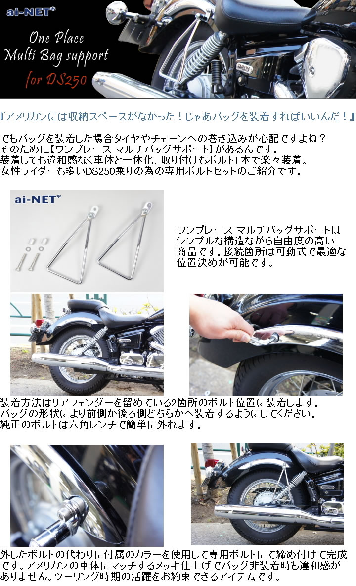 6ヶ月保証付 DS250 ドラッグスター250専用 ワンプレース マルチバッグ